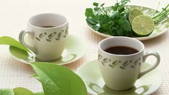 新发现 癌症竟然和茶叶有这种关系,太让人意外了