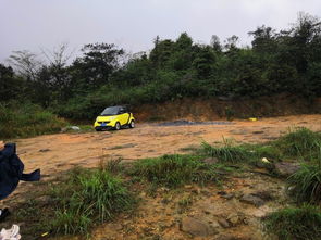 夏初春色 大美茶岩顶20190420