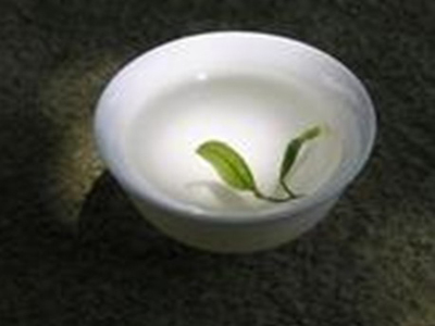 加盟品茶汇 打造赚钱利器，共享美茶事业