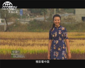 稻美茶香 乐居下蜀 美丽中华行中的田园诗画